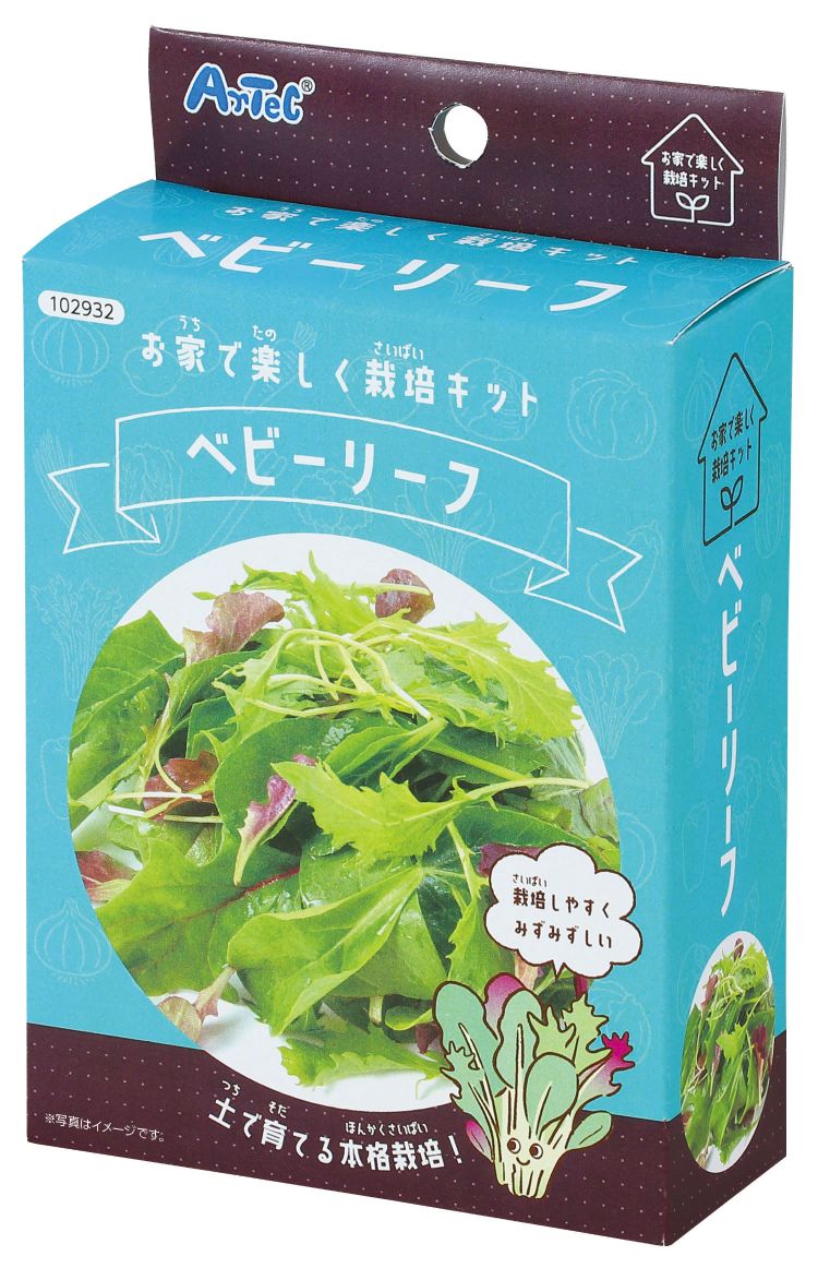 お家で楽しく栽培キット ベビーリーフ