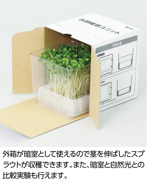 水耕栽培ユニット カイワレダイコン