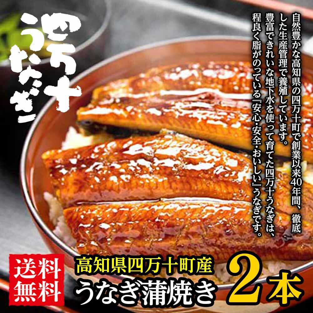 山田水産 うなぎ ＼最後の清流四万十川／国産 高級うなぎ 蒲焼き【鰻2本】 鰻 割烹 ウナギ 専門店 四万十川 たけそら 冬ギフト 贈答用 贈り物 食べ物 特選 おすすめ 生産者より産地直送 お取り寄せグルメ おせち 食品 会社 上司