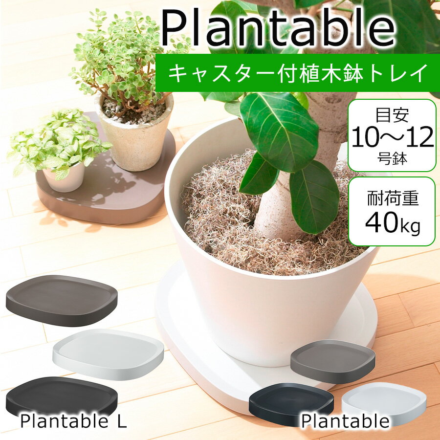 shopウィンクルの商品例