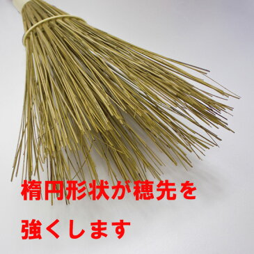 【大掃除におすすめ】庭の落ち葉や砂埃、小石などの掃除に人気の玄関ほうき|コシがさらに強くなった室外・屋外用箒 庭園ほうき 庭ほうき 外ほうき