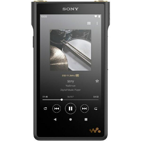 SONY Digital Audio Player NW-WM1AM2 [128GB]