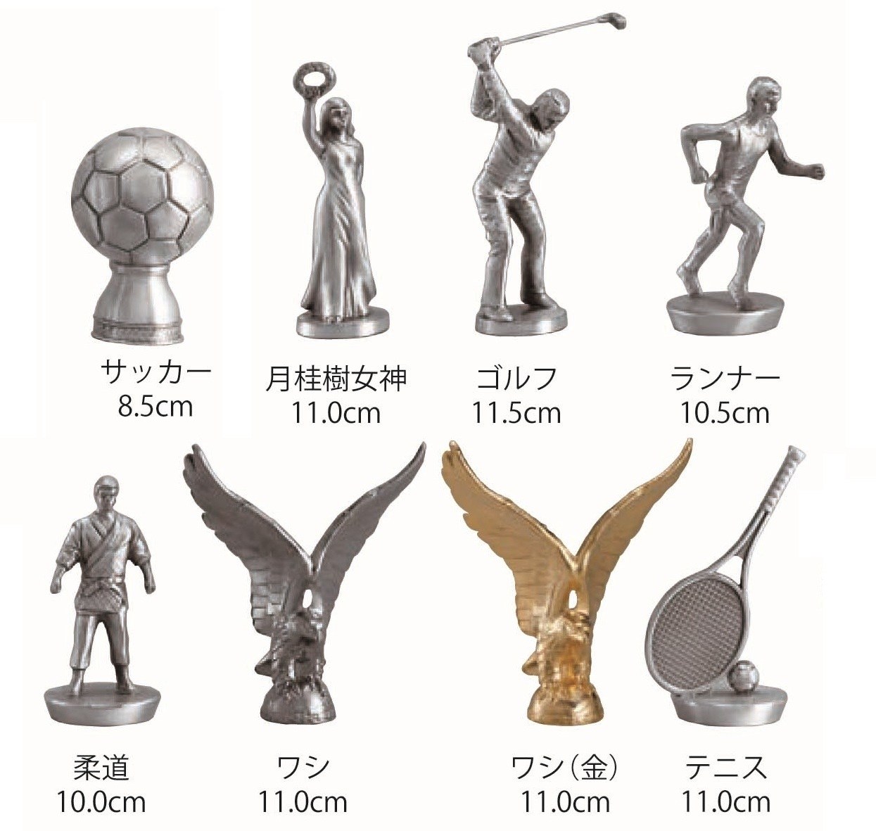 ��ʸ��Ħ��̵���ۥ֥���(BW2900)