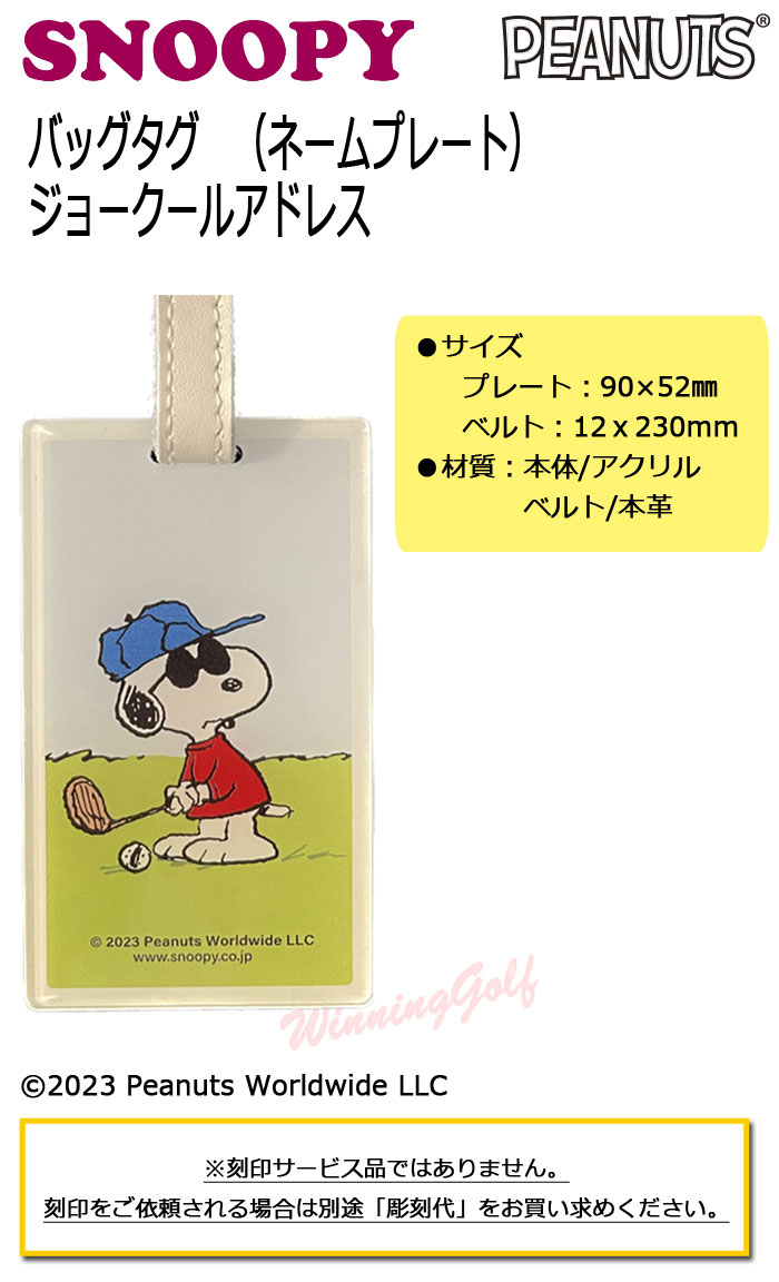 [メール便可能]　バッグタグ　ジョークールアドレス　(Z-195)　ネームプレート　ス...