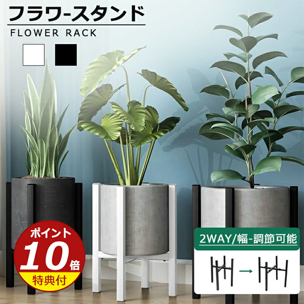 imgrc0091856450.jpg imgrc0091856450.jpg