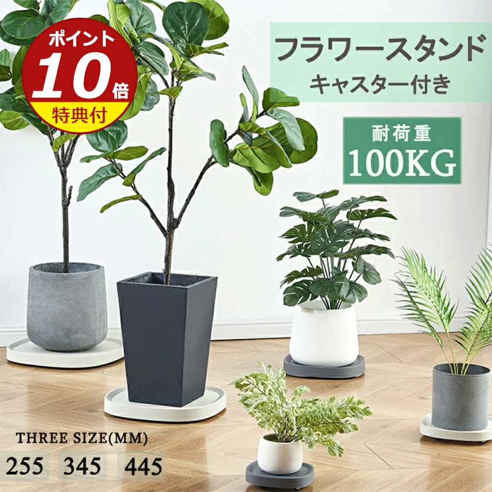 imgrc0091856890.jpg imgrc0091856890.jpg