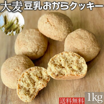 大麦 豆乳おからクッキー 1kg 送料無料 お試し ダイエット レシピ 個包装 スイーツ 差し入れ お菓子 大量 可愛い 糖質 ギフト カード 誕生日 グルメ プレゼント プロテイン チョコ 女性 洋菓子セット 詰め合わせ 父の日