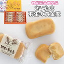 さいたま 羽生 黄金麦 8個入×2セット 送料無料 スイーツ 食品 ギフト 手土産 洋菓子 誕生日 御歳暮 グルメ プレゼント 差し入れ お菓子 大量 お菓子の国ウィンズアーク ふるさと納税 帰省 おみやげ 土産 キャンプ 母の日 父の日 敬老の日 ハロウィン クリスマス