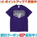 (KAVU)カブー カレッジロゴTee (Purple) M