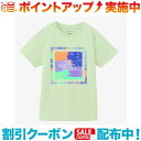 クーポン配布中☆(THE NORTH FACE)ザ・ノース・フェイス ショートスリーブゲットモテッドグラフィックティー (ミスティーセージ) | キッズ▼(4)