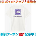 クーポン配布中☆(THE NORTH FACE)ザ・ノース・フェイス ショートスリーブバンダナスクエアロゴティー レディース (ホワイト)(4)