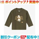 ザ・ノース・フェイス ベビー服 (THE NORTH FACE)ノースフェイス ロングスリーブシレトコトコティー (ニュートープ) |ベビー ロングtシャツ ロンt 秋服 冬服 トップス tシャツ 長袖 ブランド アウトドア アウトドアファッション ノースフェイス ベビー服 赤ちゃん服 男の子 キッズ服 子供服 ロンティー