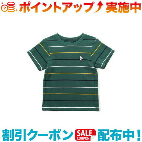 ݥ(CHUMS)ॹ KD Booby Border Pique T-Shirt (GRN/YL) | å