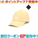 チャムス (CHUMS)チャムス スプリングデールゴアテックスブッシュパイロットキャップ (Sand)