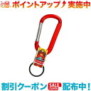 (CHUMS)`X Carabiner Keychain (Native)