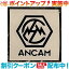 (ANCAM)ʥ ANCAM-ƥå-1 (֥å)