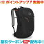 (LOWE ALPINE)ѥ Airzone active 22 (Black)