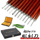 送料無料 極細プロ 精密 彫刻刀 12本 セット 1mm-4mm Φ13 伝統工芸 木彫 オリーブ核 細工 彫刻 pro12 (12本) ハードケース 付き 木工 工具 ギグアント