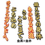 【プロ野球　阪神タイガースグッズ】金本知憲ヒッティングマーチ（応援歌）ワッペン