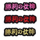 商品説明 文字ワッペン「勝利の女神」 アイロン圧着式です カラー ピンク、赤、金 サイズ 約縦3.5cm×約横12.5cm ご注意 ●商品の色・形状等予告無く変更する場合があります。予めご了承下さい。 ●当店にて他の商品と同時購入の場合、最長納期に合わせての発送となります。