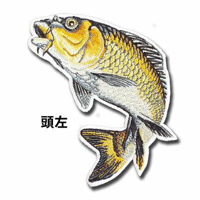 �ڥץ���塡���祫���ץ��å��۸��åڥ�ʾ���