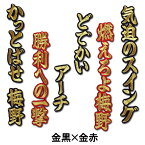 【プロ野球　阪神タイガースグッズ】梅野隆太郎ヒッティングマーチ（応援歌）ワッペン