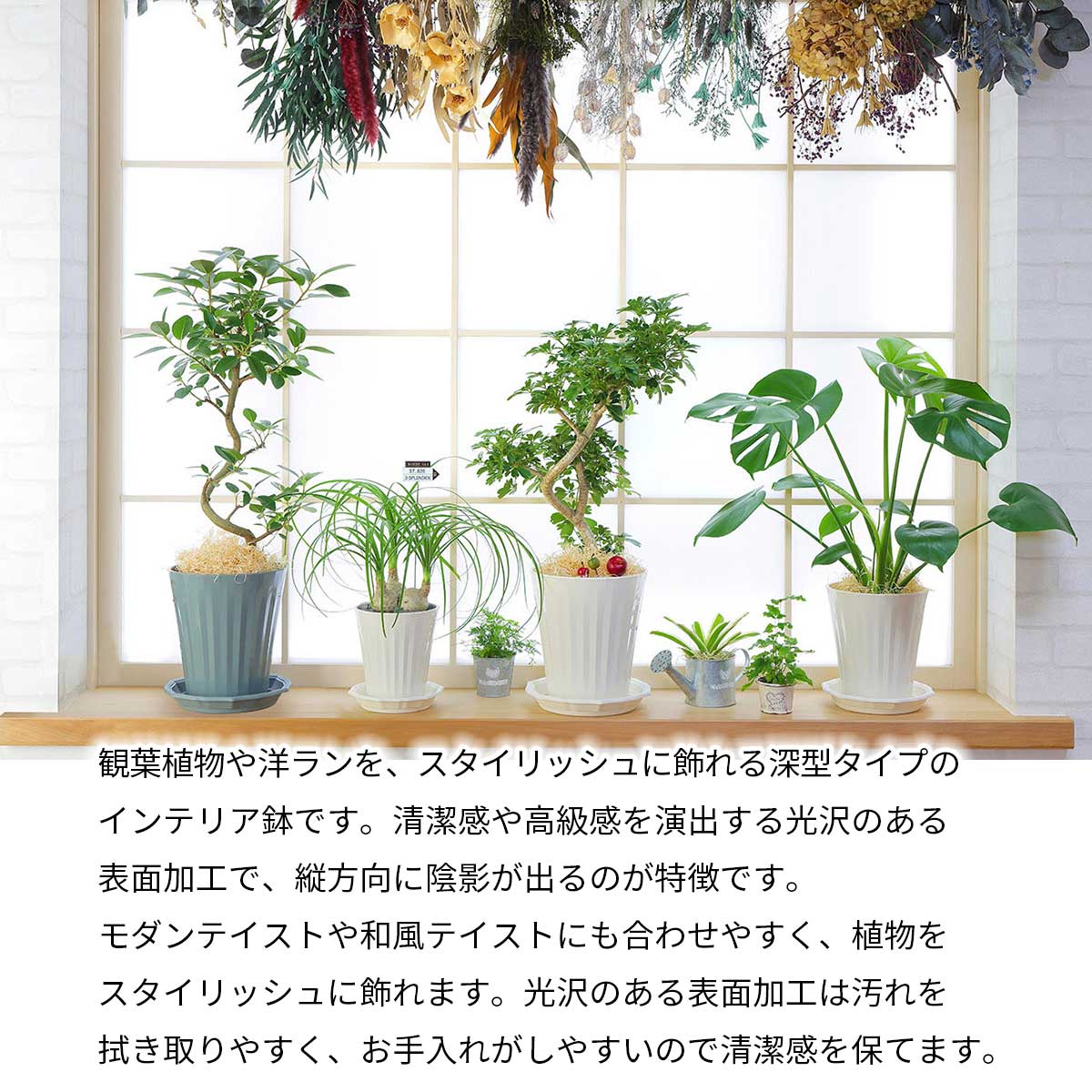 グロスポット 5号〜10号 ホワイト ダークグレー アップルウェアー 鉢