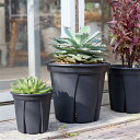 根っこつよし 4号〜9号 ブラック アップルウェアー スリットデザイン鉢 ガーデニング用品