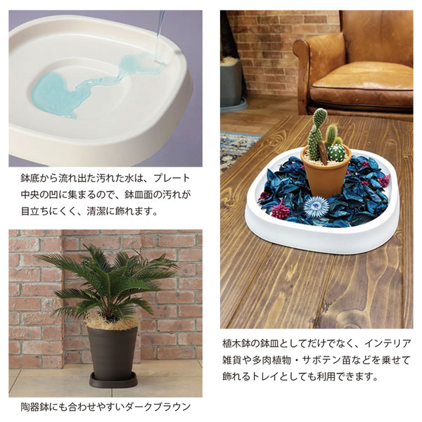 �ץ��ĥץ졼�� 260�� �ۥ磻�� ���åץ륦������ ȭ��