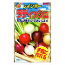 彩りがきれいでおいしい レインボー ラディッシュ アタリヤ農園 手軽に作れる 野菜種 M