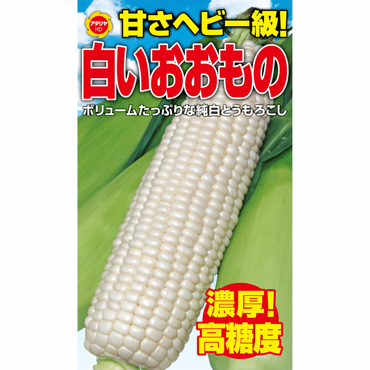 甘さヘビー級 白いおおもの アタリヤ農園 濃厚 高糖度 野菜種 M