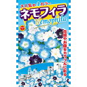 大人気の4カラー ネモフィラ アタリヤ農園 ネモフィラ 種 ネモフィラ 種子 花 種 花 種子 花の種 ネモフィラの種 花種 M