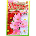 早咲コスモス アタリヤ農園 コスモス 種 コスモス 種子 コスモスの種 花の種 花 種 花種 M