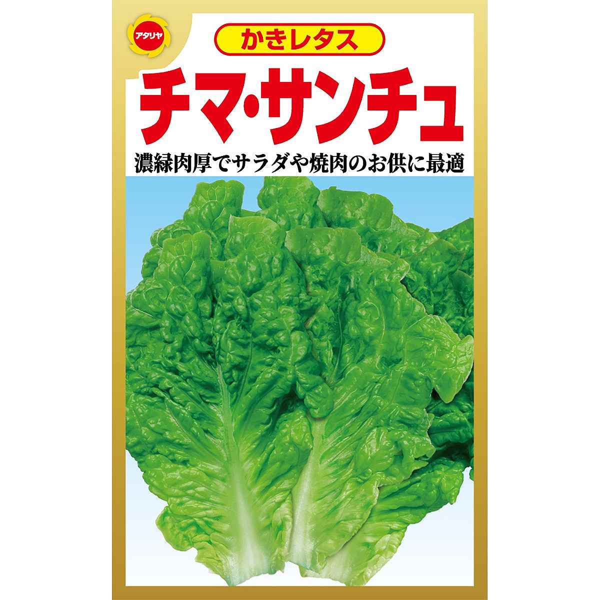 楽天ワイズライフチマ・サンチュ アタリヤ農園 かきレタス 葉をかき 肉等巻いて食べると美味 野菜種 M