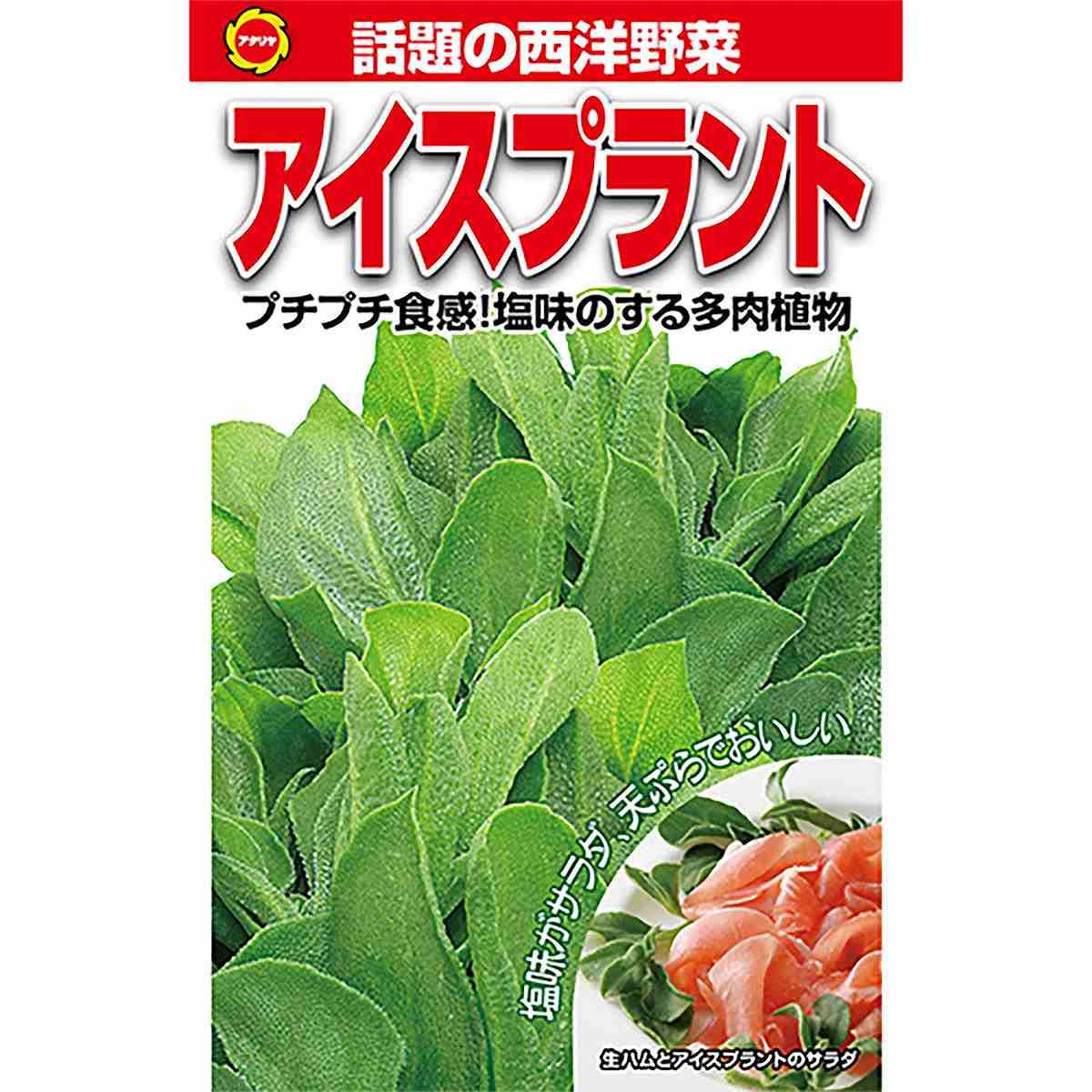 アイスプラント アタリヤ農園 話題の西洋野菜 プチプチ食感 塩味のする 多肉植物 野菜 種子 野菜の種