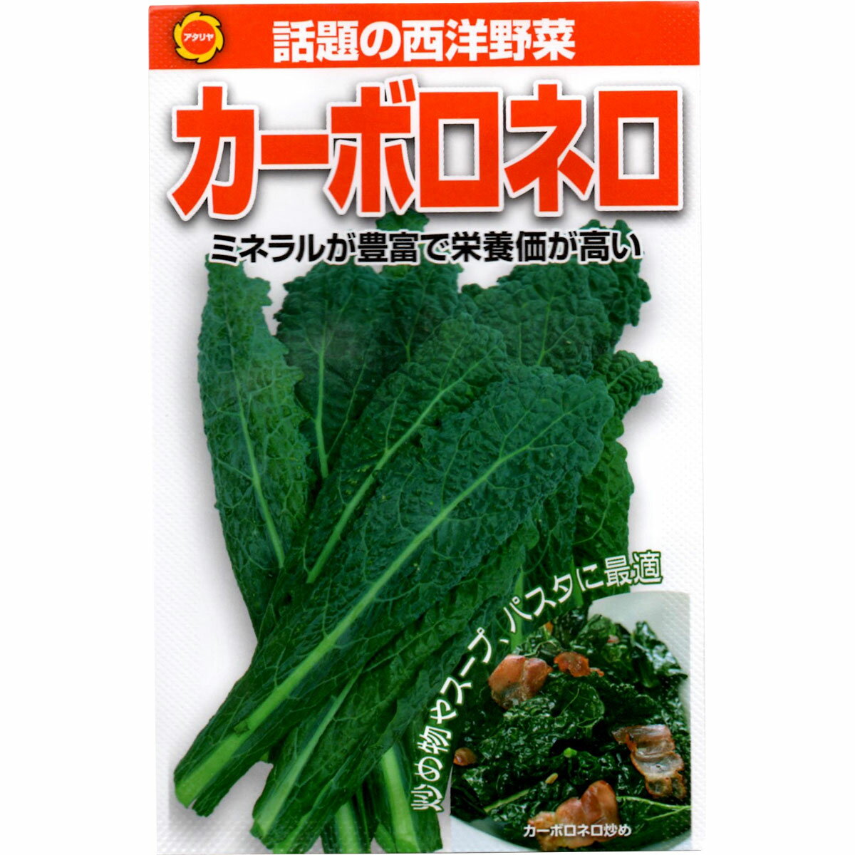 乐天商城 - 西洋野菜 カーボロネロ アタリヤ農園 野菜種 野菜 種子 野菜の種