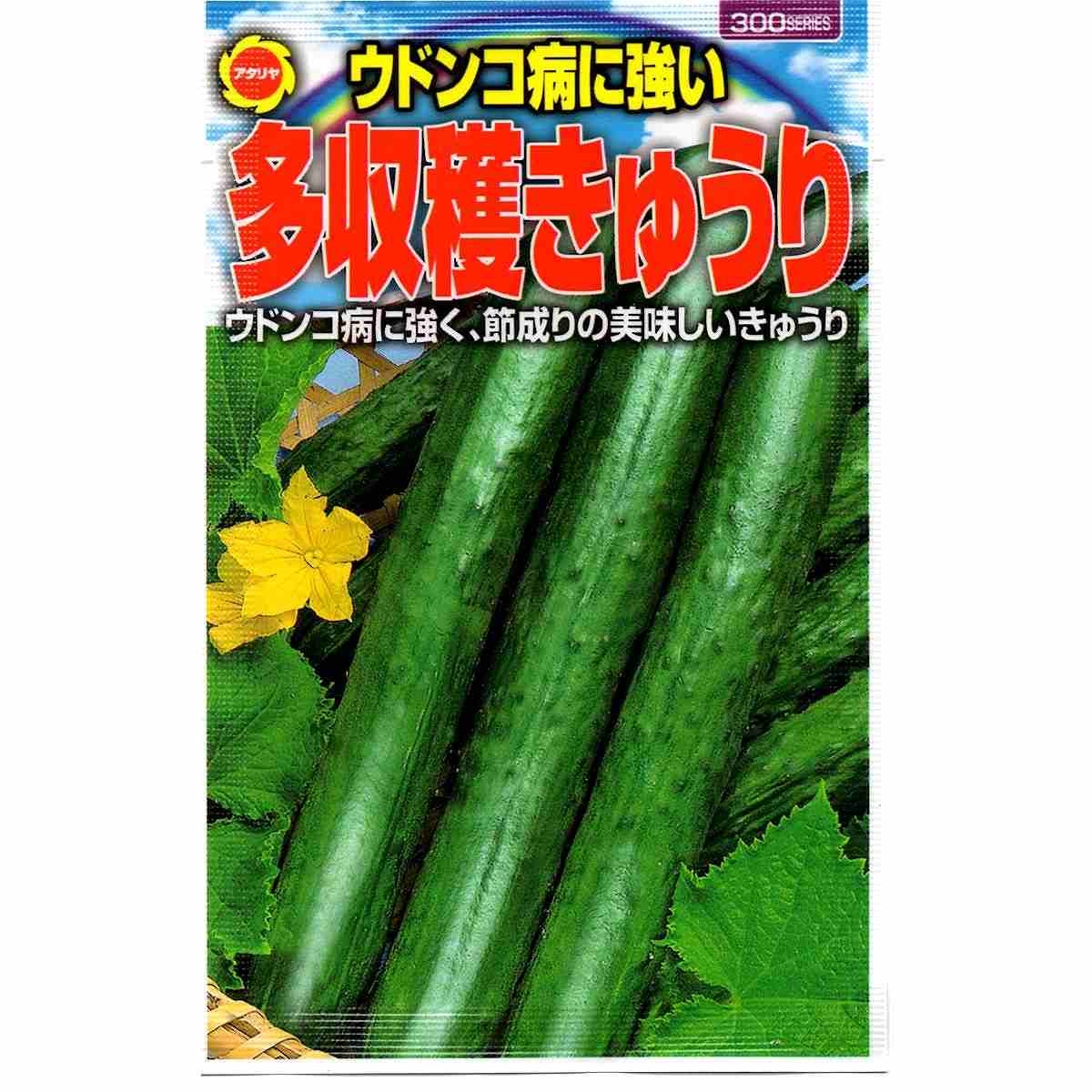 多収穫きゅうり アタリヤ農園 ウドンコ病に強い 節成りの美味しいきゅうり 野菜種 M