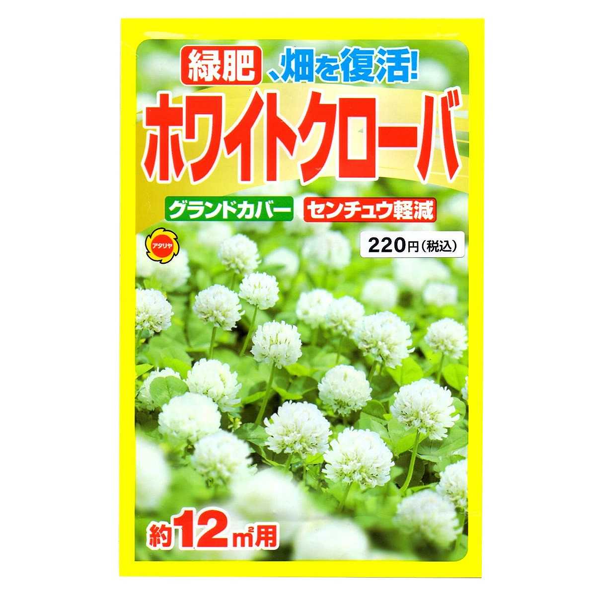 緑肥 畑を復活 ホワイトクローバ アタリヤ農園 グランドカバー センチュウ軽減 景観緑肥 M