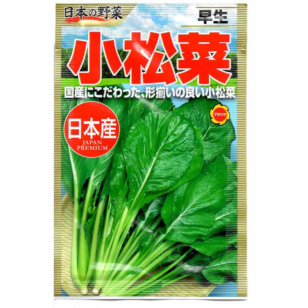 日本の野菜 早生 小松菜 アタリヤ農園 国産にこだわった 形揃いの良い小松菜 野菜種 M