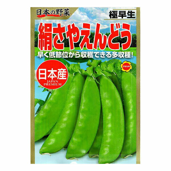 アタリヤ農園 野菜種 日本産 極早生 絹さやえんどう M