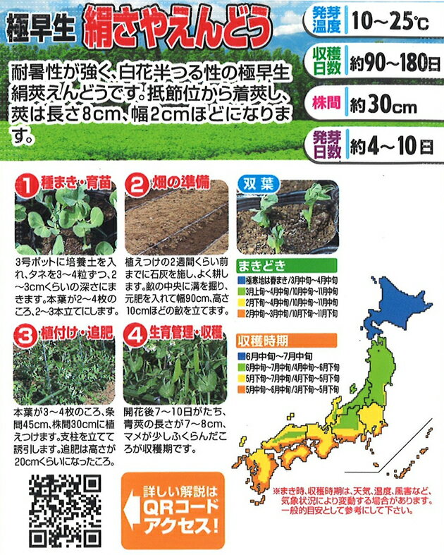 アタリヤ農園 野菜種 日本産 極早生 絹さやえんどう M