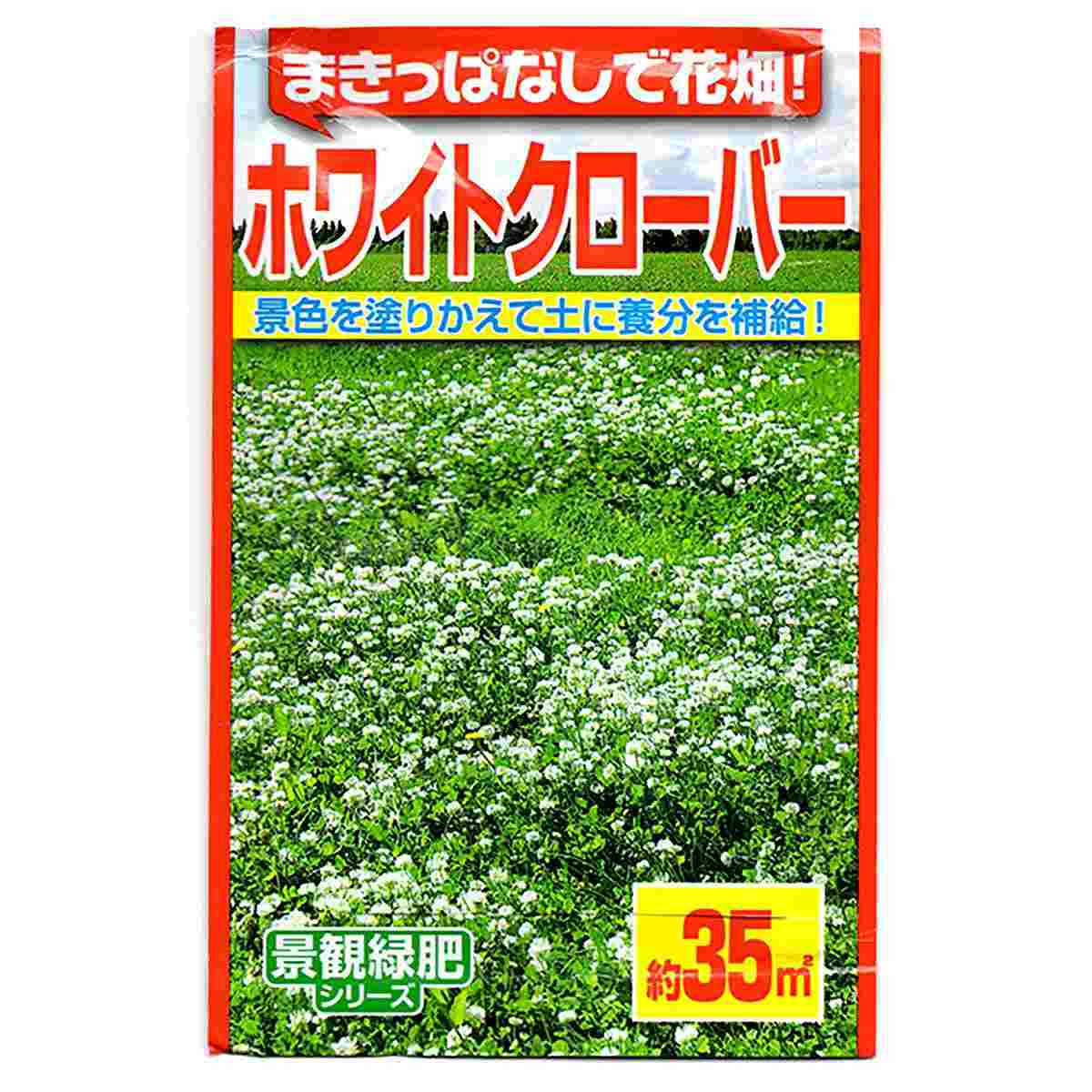 まきっぱなしで花畑 ホワイトクローバー アタリヤ農園 景色を塗りかえて土に養分を補給 景観緑肥