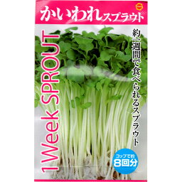 スプラウト かいわれ アタリヤ農園 1Week SPROUT 野菜種