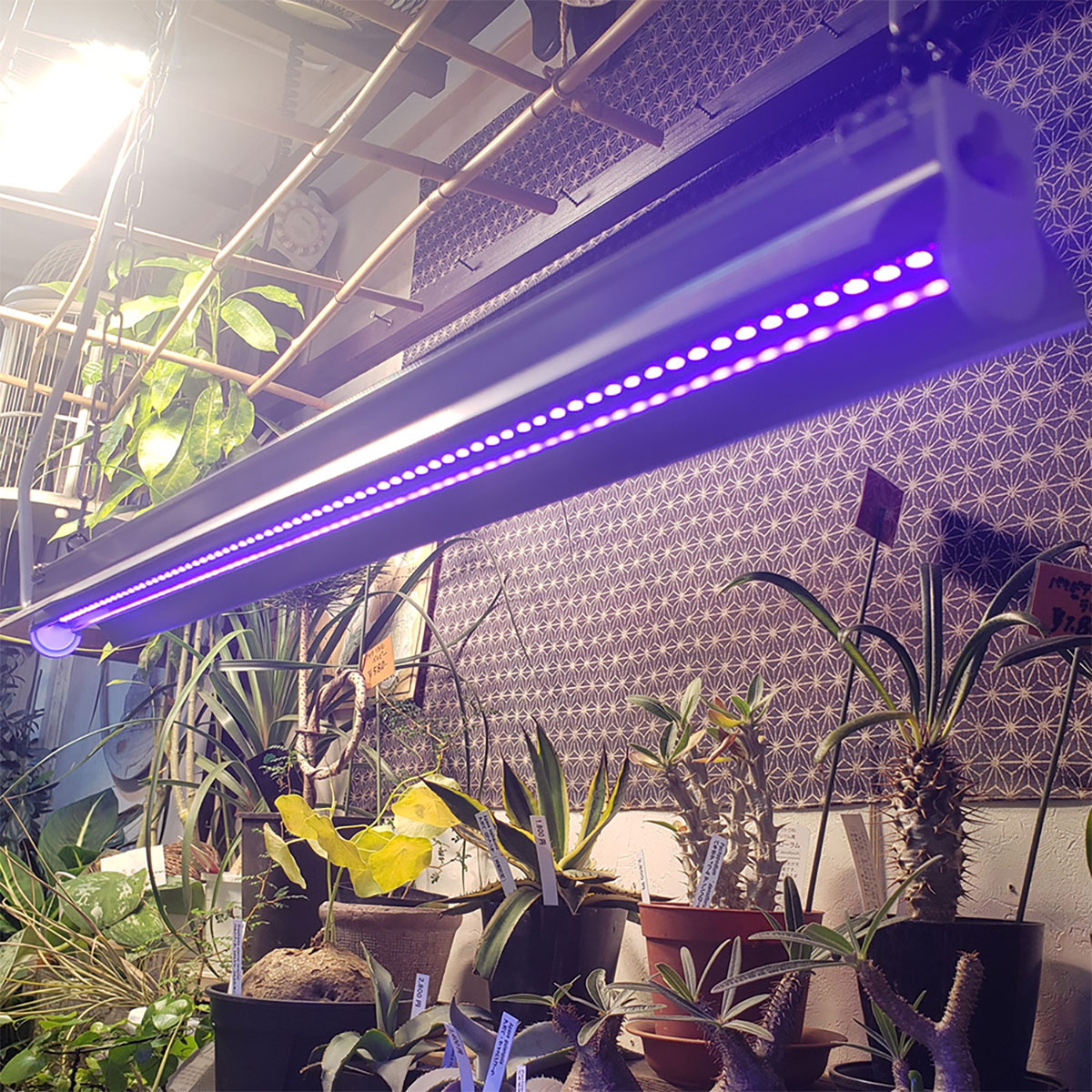 LED UV LIGHT15 植物育成灯 紫外線ライト UVライト