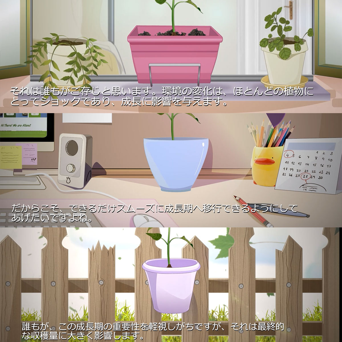 ���� B'CUZZ HYDRO BOOSTER UNI (�ӡ����� �ϥ��ɥ� �֡������� ���) 1L ATAMI ���� ��̺��������� ��� ���� �̼� ���� ������� ��ʪ ��Ĺ¥�ʺ�