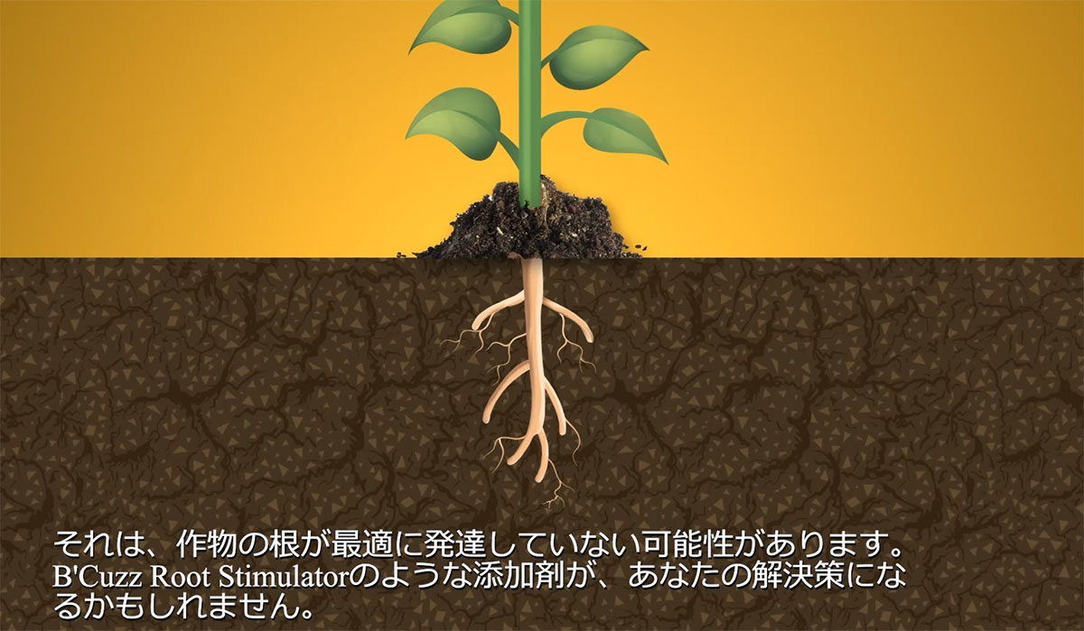 B'CUZZ ROOT STIMULATOR (ビーカズ ルート スティミュレーター) 5L ATAMI 発根促進...