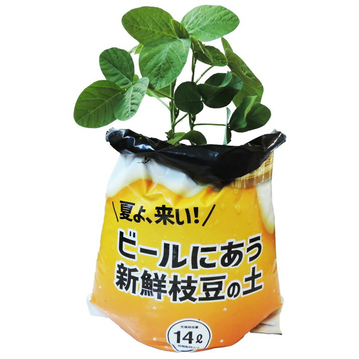 培養土 ビールにあう新鮮枝豆の土 14L 食から始まる園芸シリーズ FOREX 野菜 土 ピ...