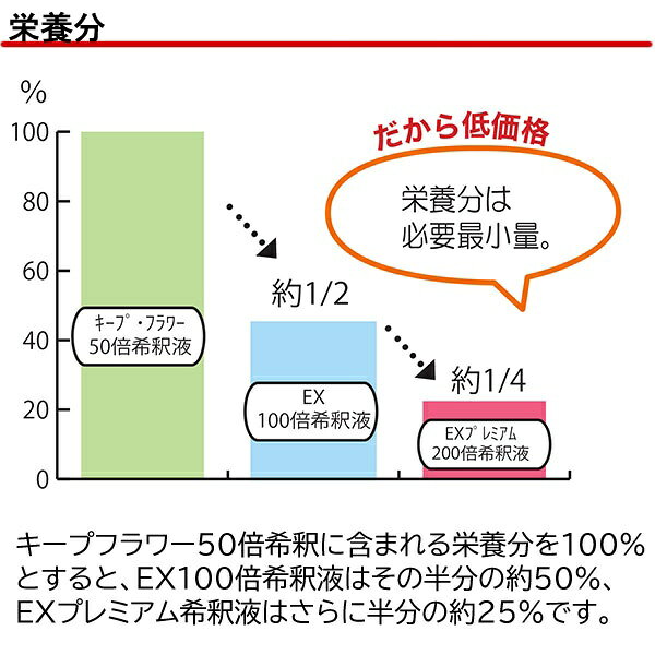 キープフラワー EXプレミアム 20L 切花加工場用 (ハード容器) フジ日本 切花延命剤...