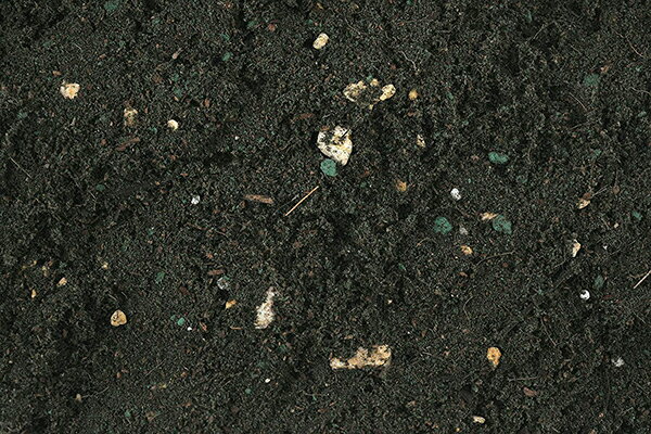 観葉植物 土 室内ベランダ園芸の土 5L 花ごころ 培養土 観葉植物 培養土 花 培養土...