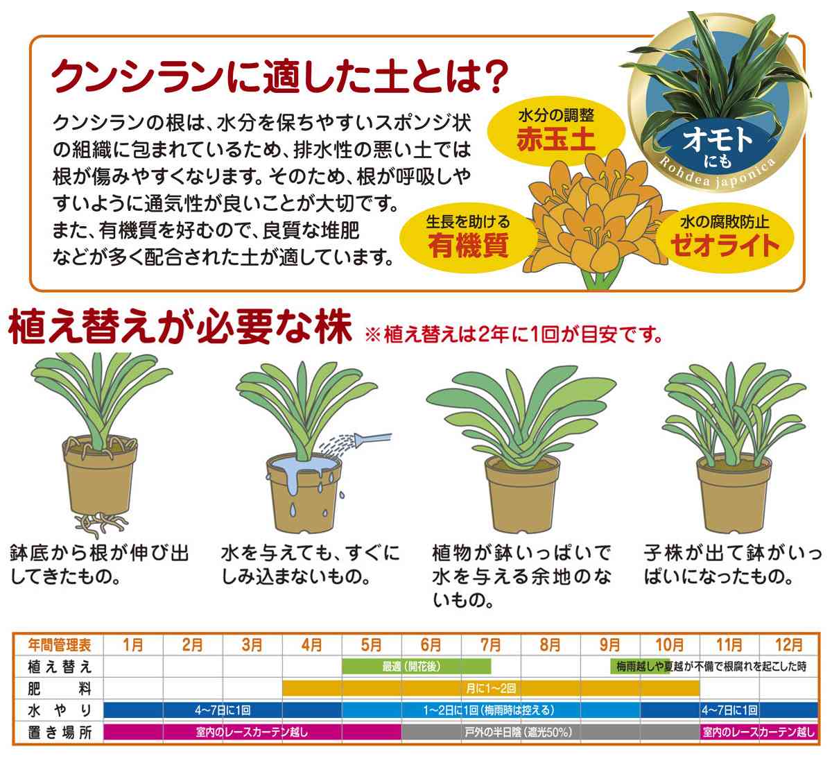 培養土 クンシランの土 10L×5袋 花ごころ 培養土 クンシラン 培養土 クンシラン 土...